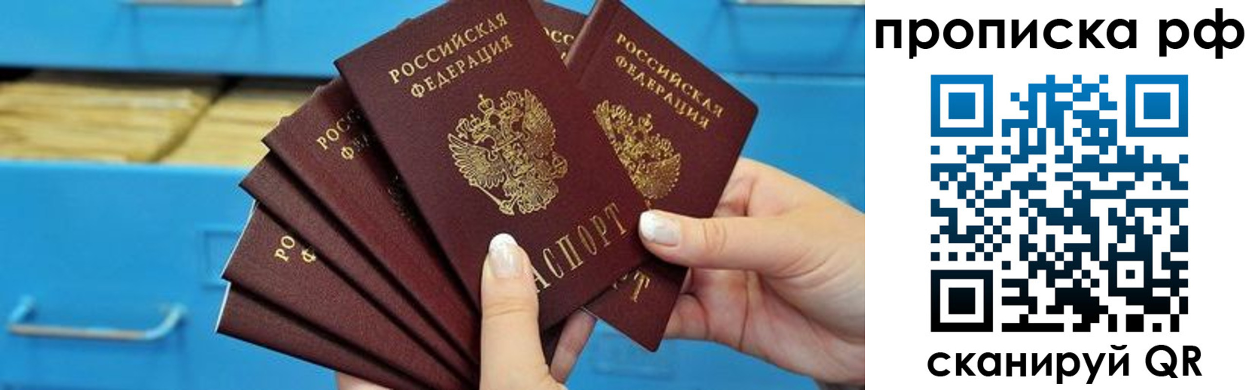 прописка поиск в Камчатской области
